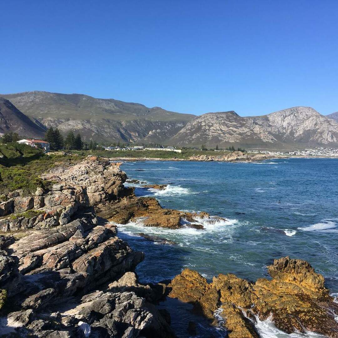 South Africa 2019