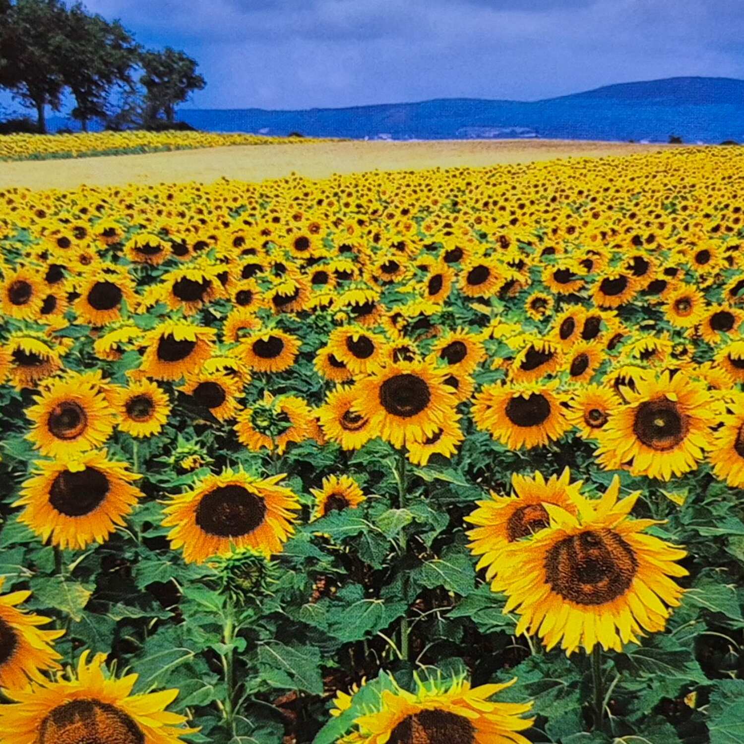 Toscana Oktober 2025