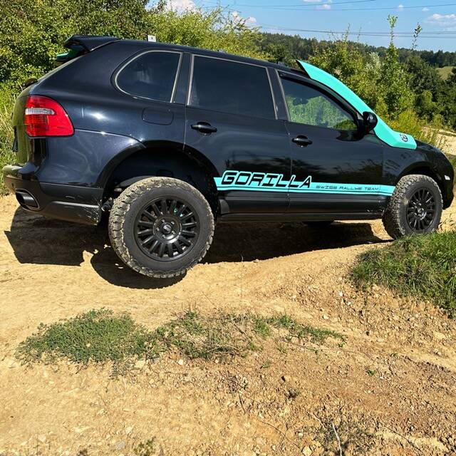 Gorilla 99