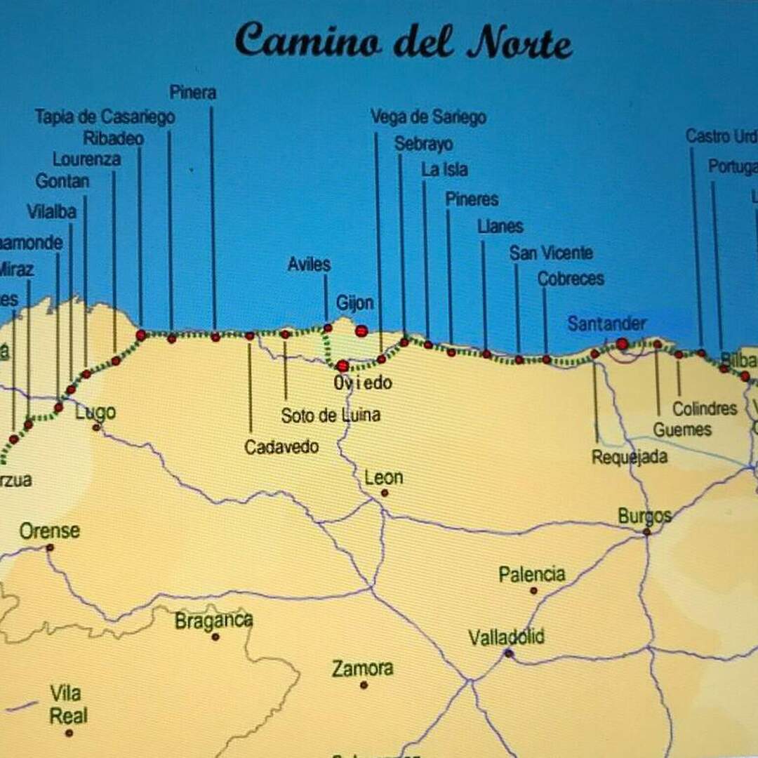 Haley Camino 2019