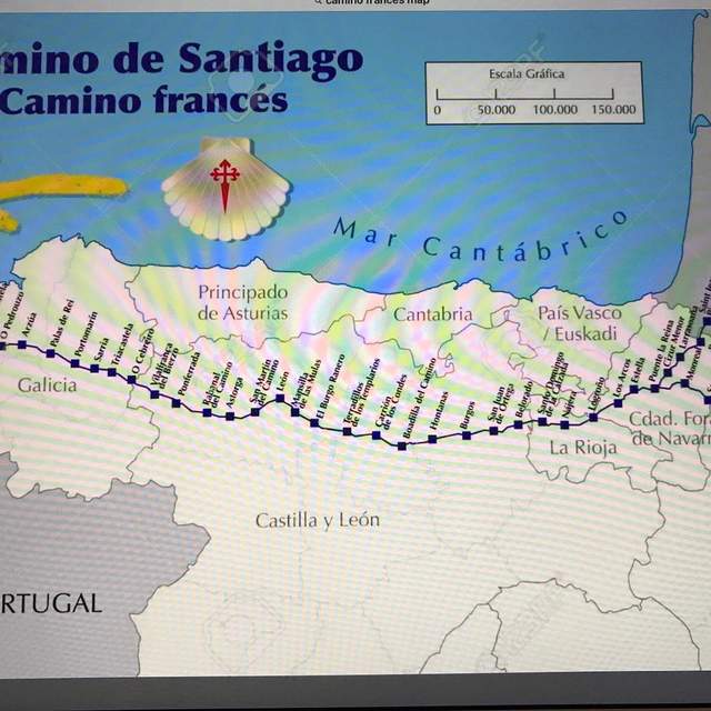 Haley Camino 2018