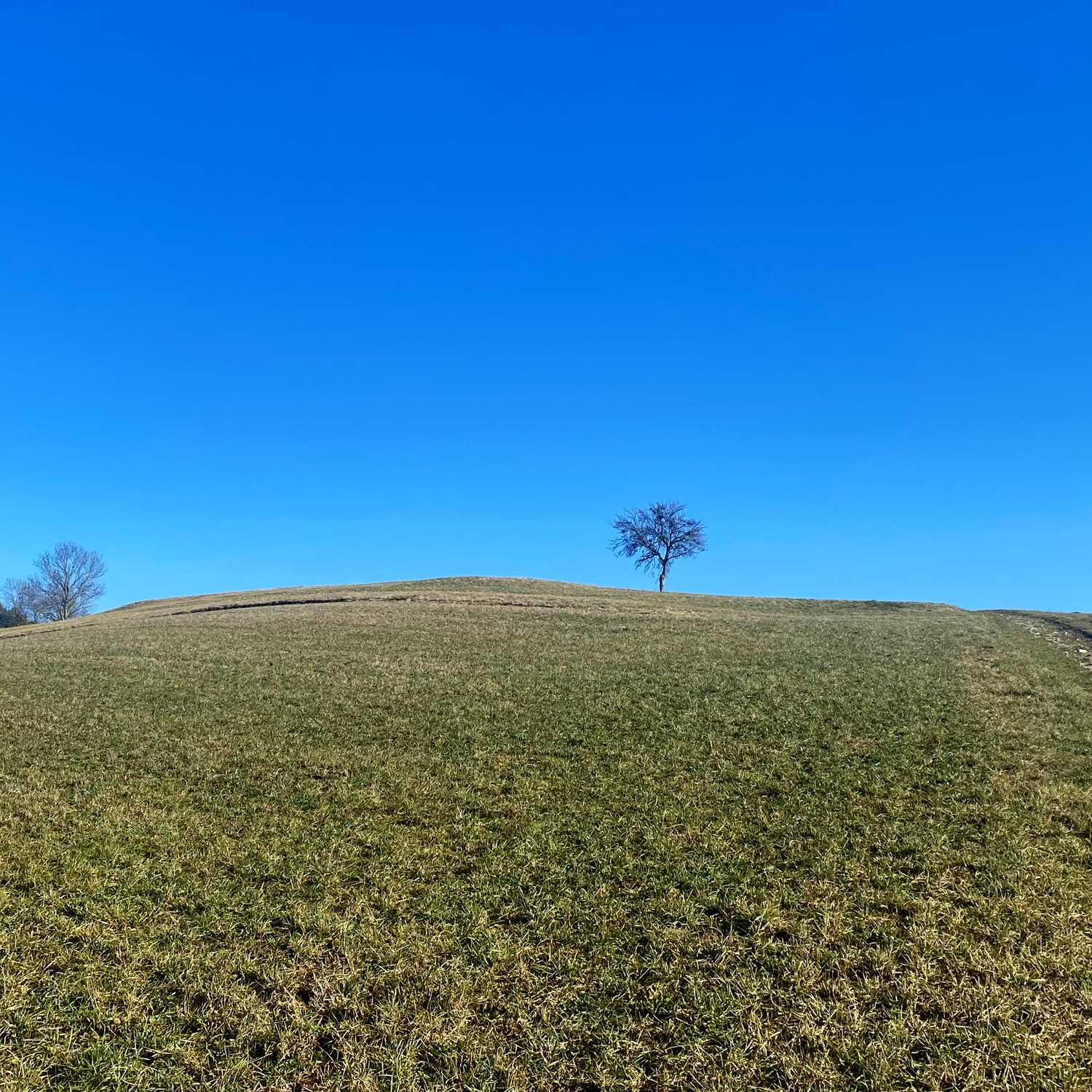 Oberbargen