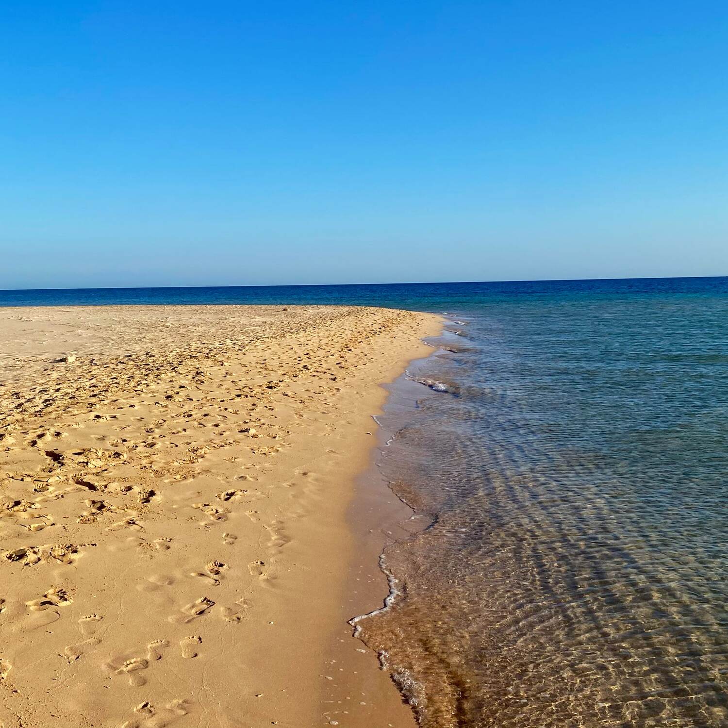 Ägypten Red Sea Soma Bay