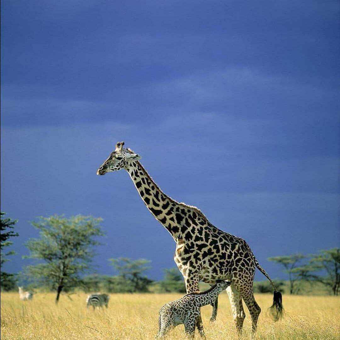 Südafrika 2019 mit Freunden
