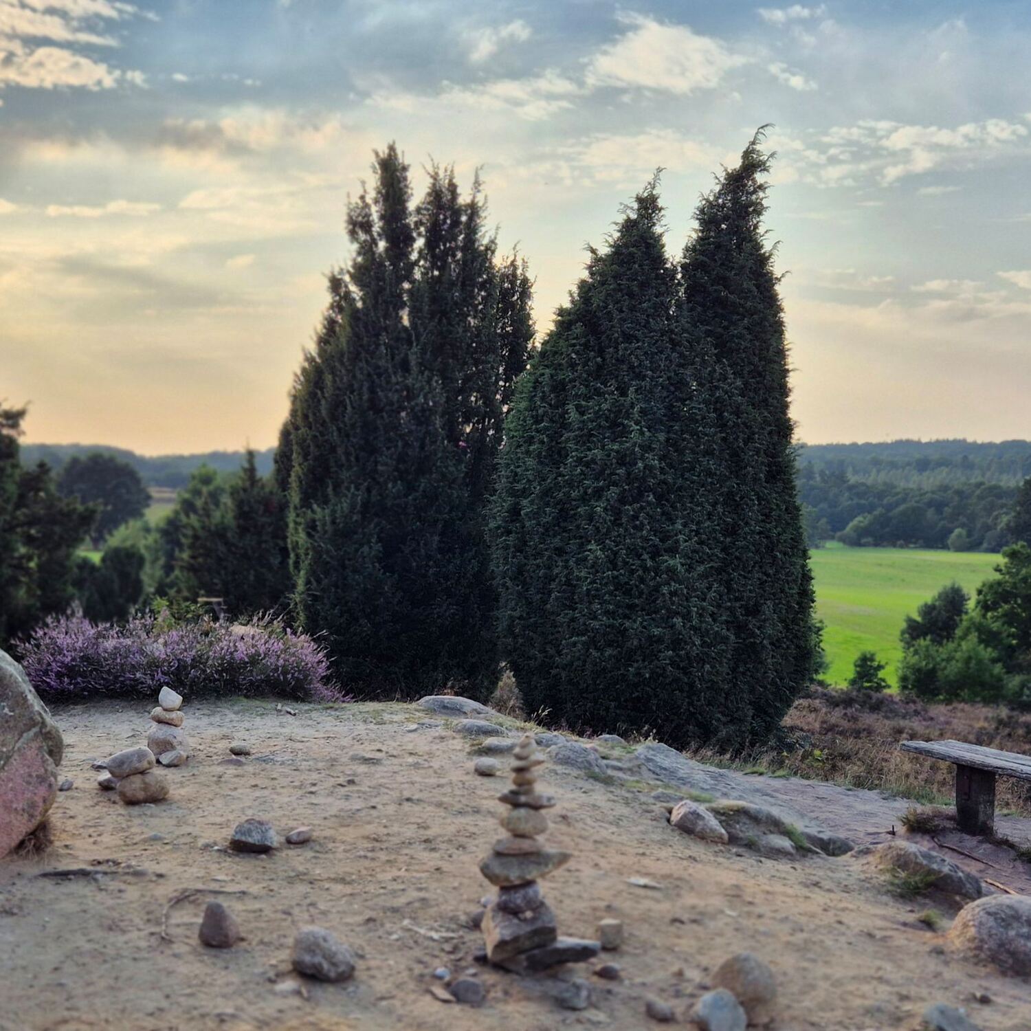 Südheide Oberhaverbeck