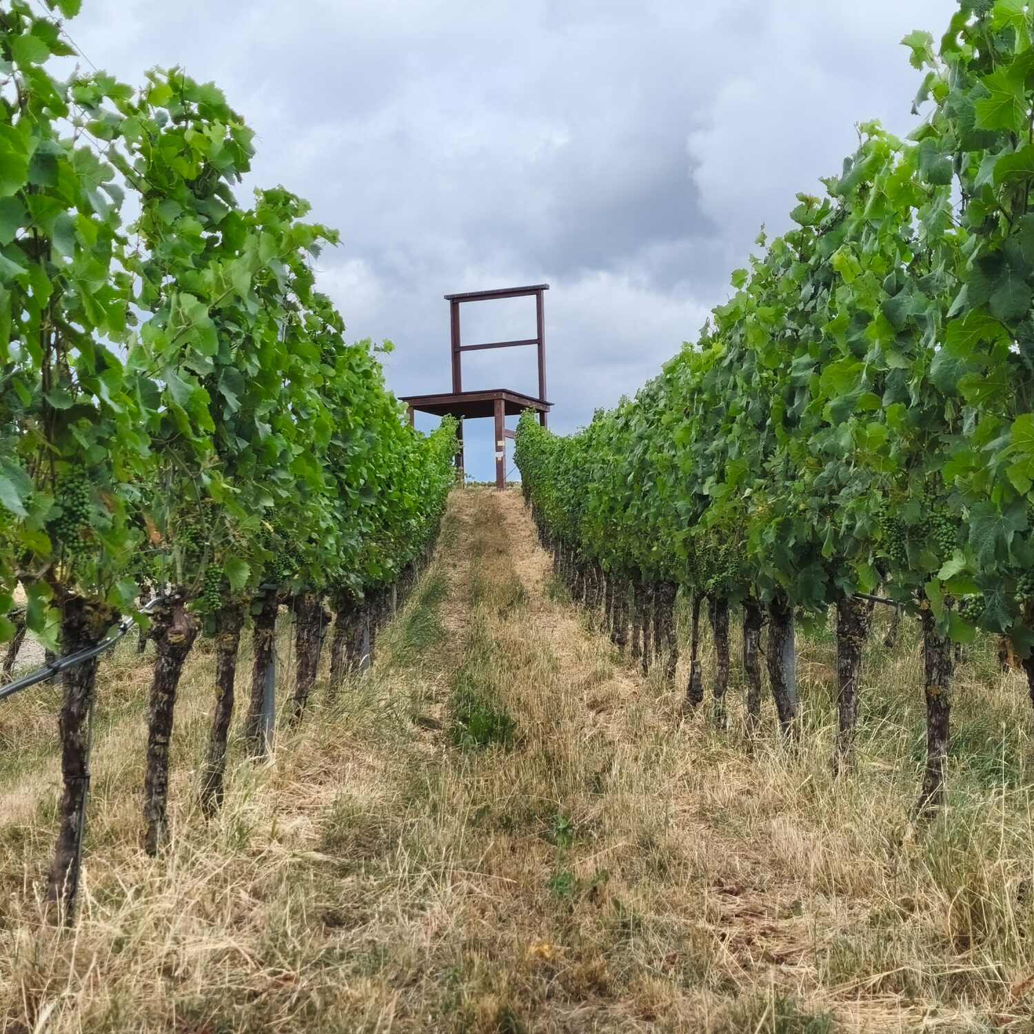 Am Kaiserstuhl
