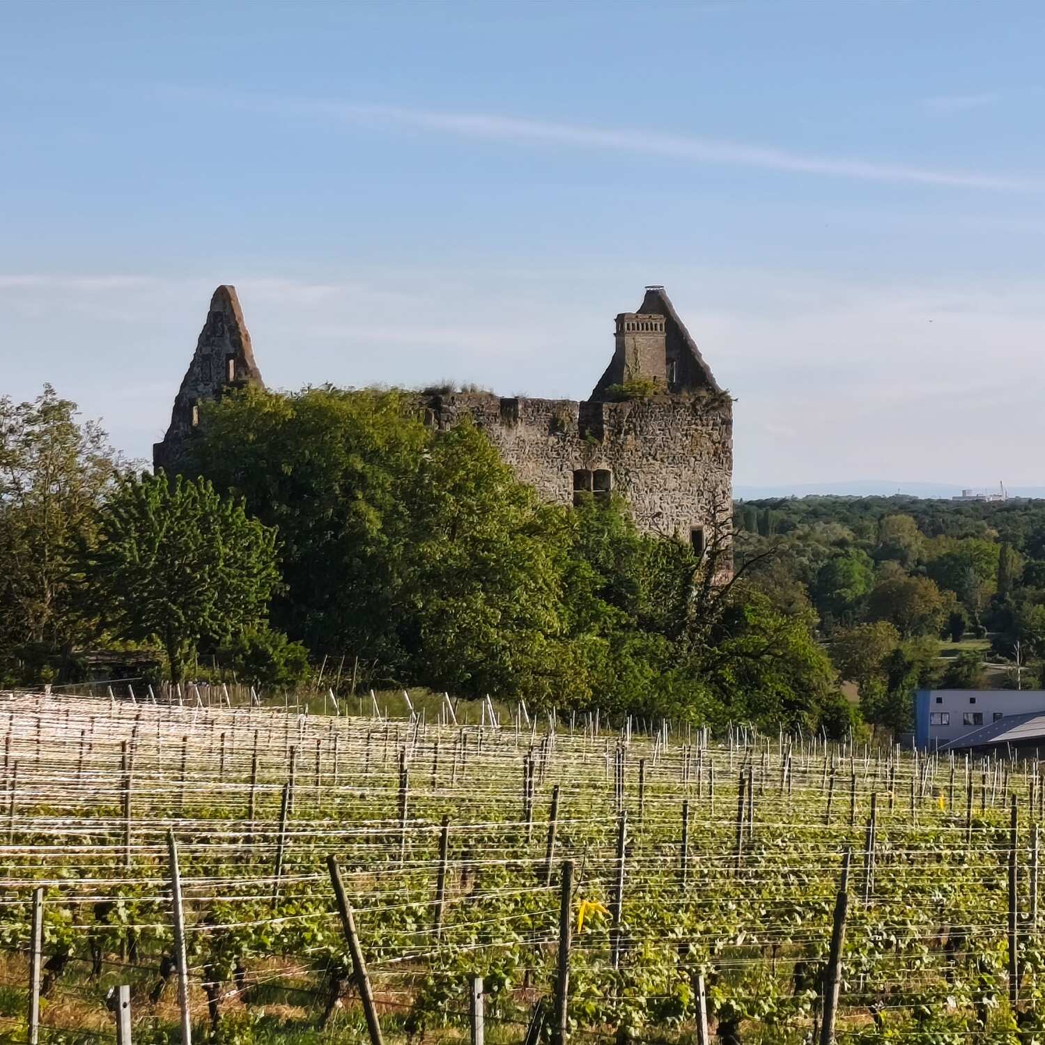 Schlemmerwochende im Breisgau