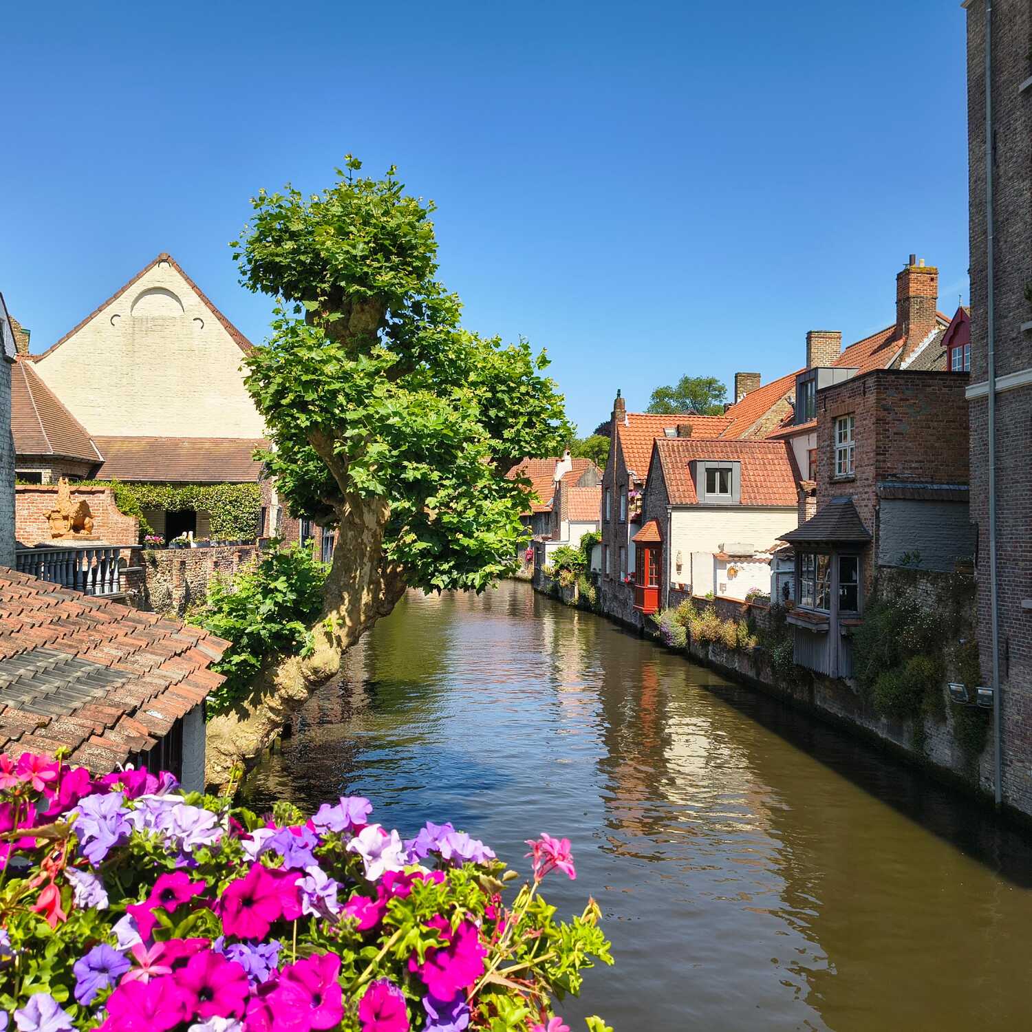 Städtetrip nach Belgien