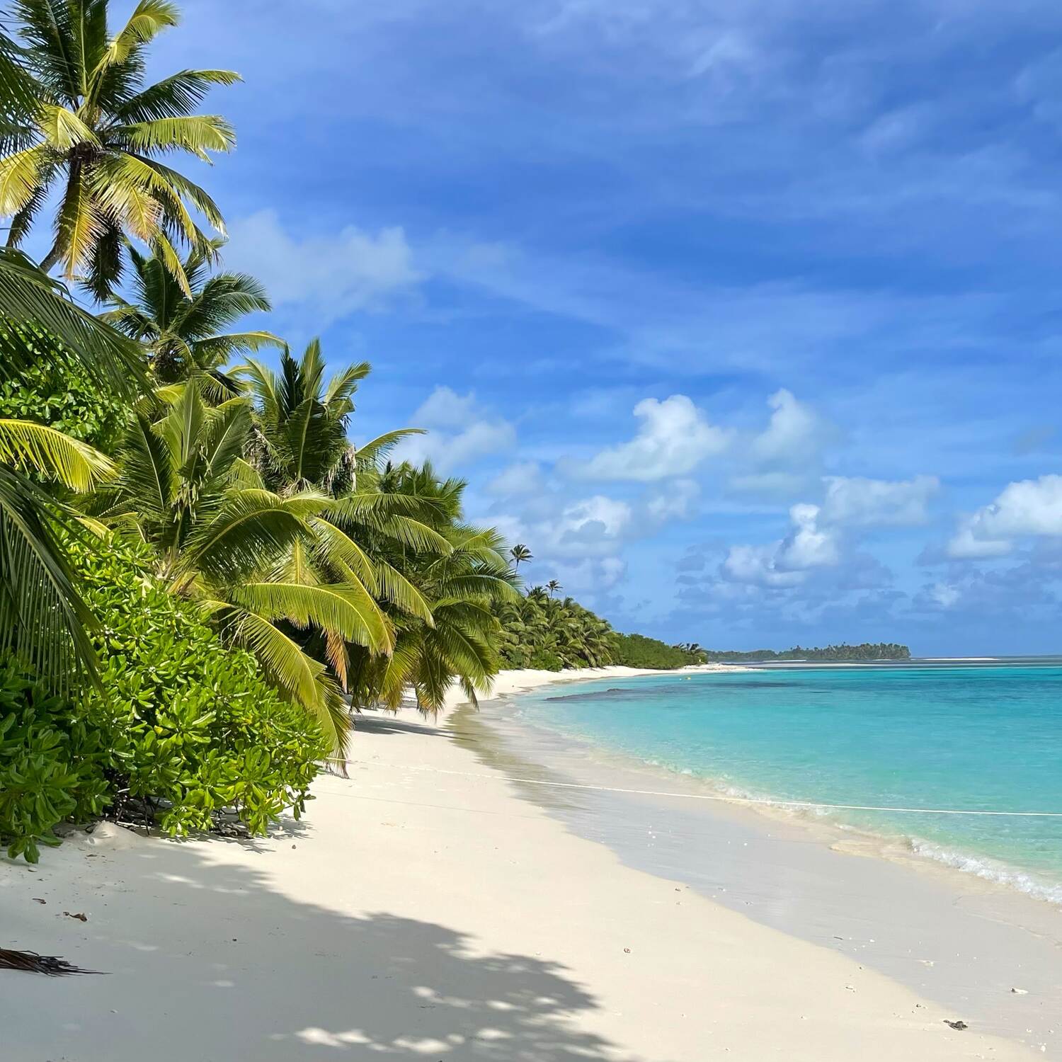 Sailing Melanesia to Africa