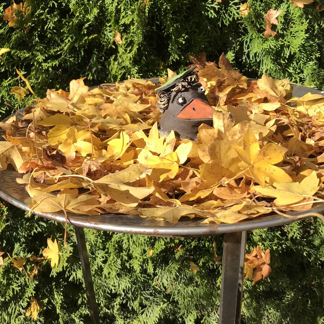 Herbstweekend Schwarzwald