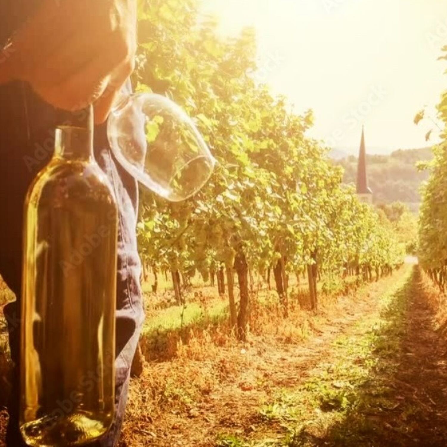 Mosel und Taunus