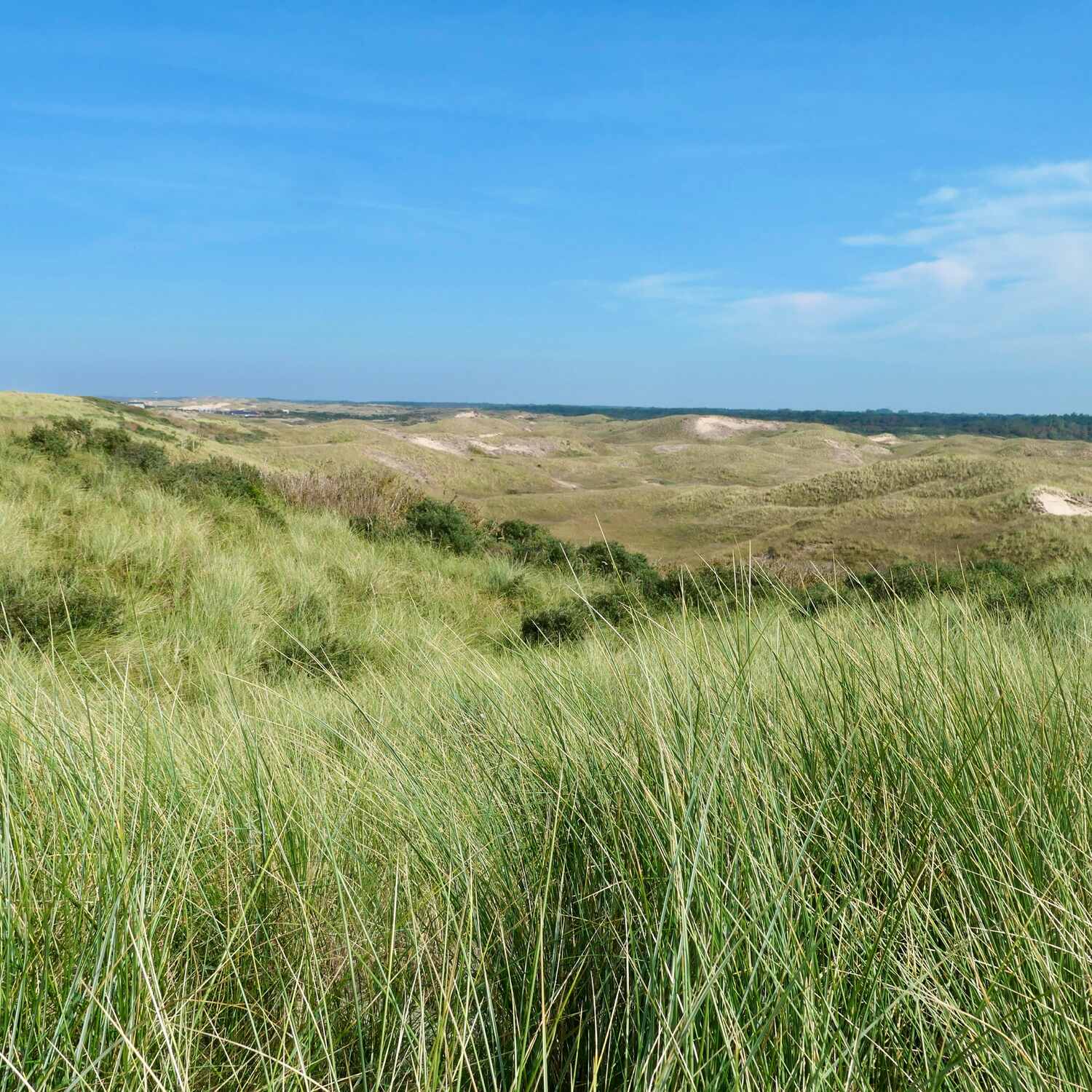 Nordholland