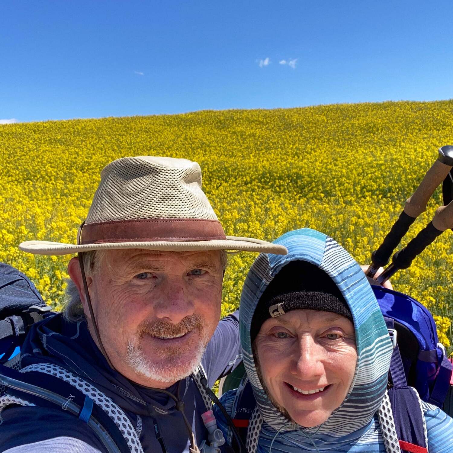Camino 2024