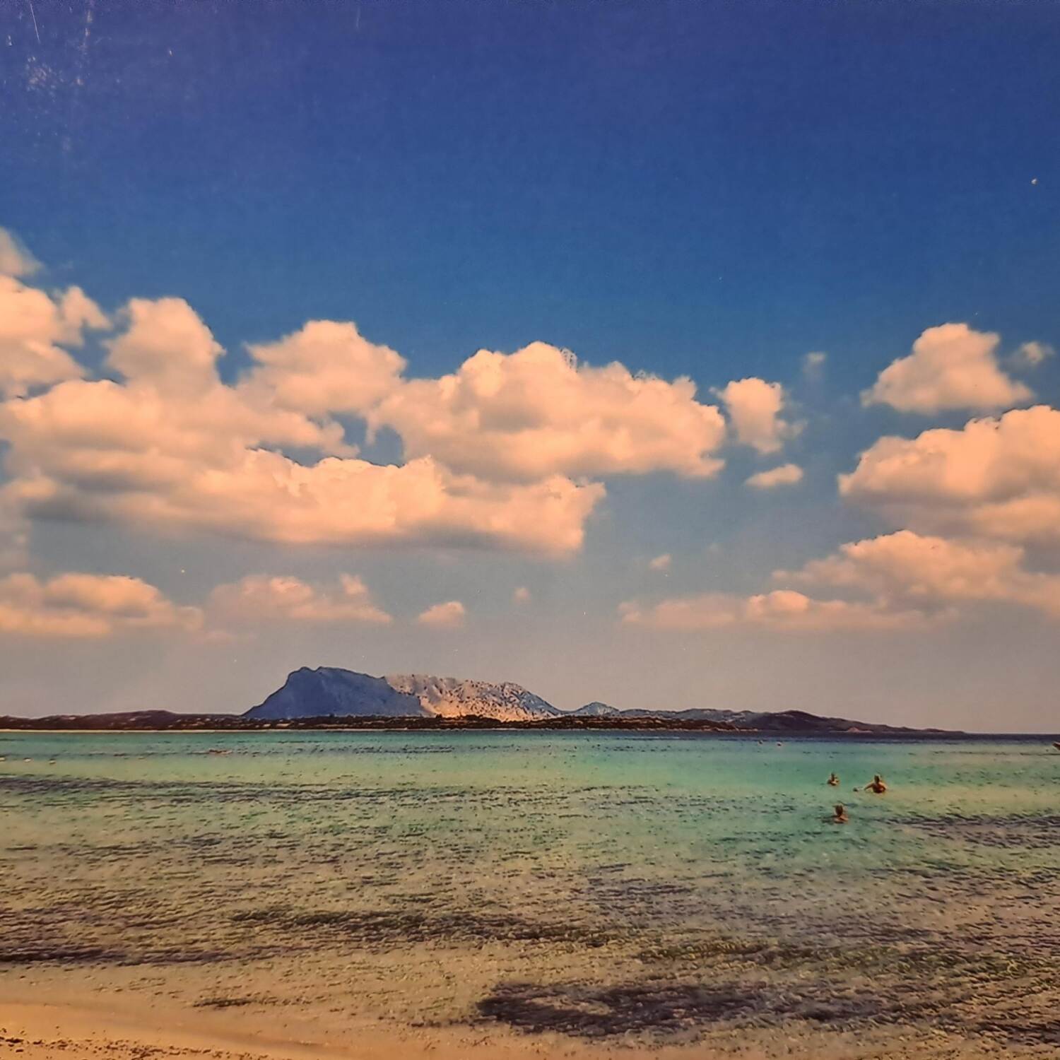 Sardegna