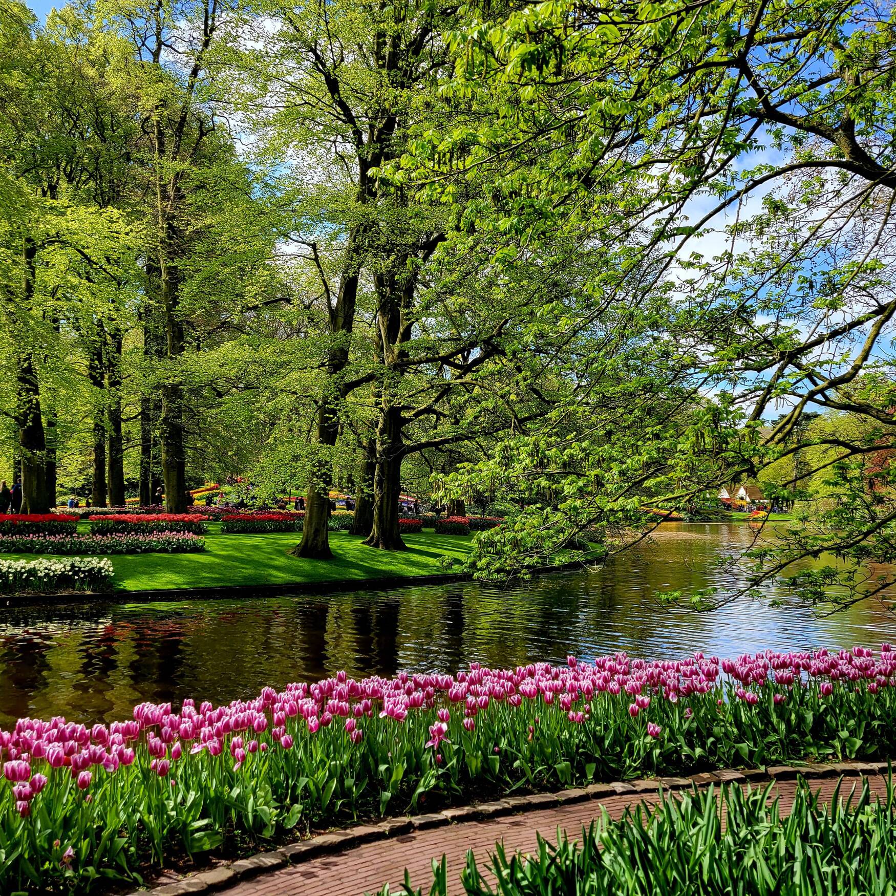 The Netherlands & The Baltic
