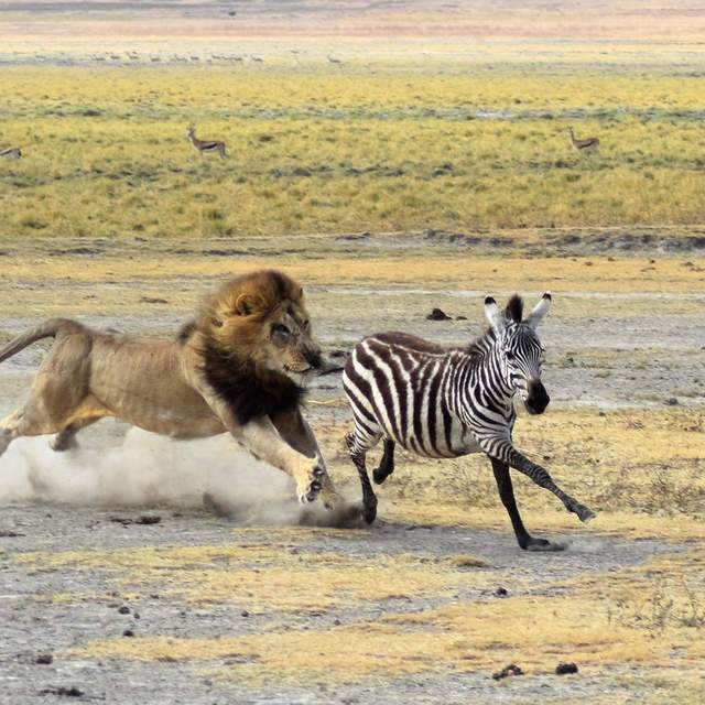 Kenia & Tansania Trek