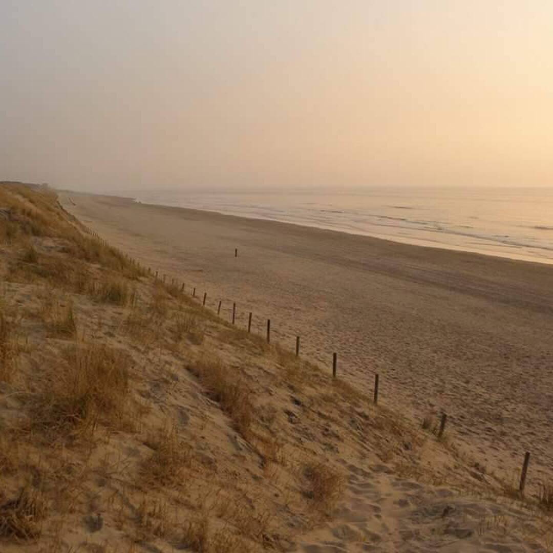 Zandvoort, Niederlande 2015