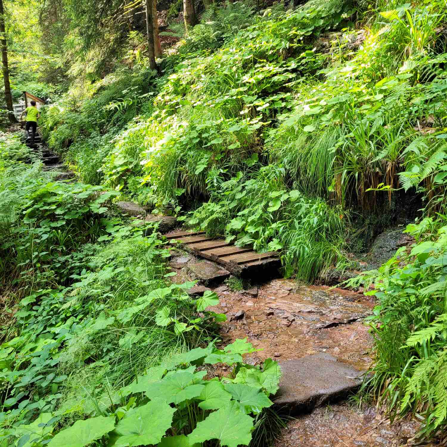 Wochenende in Baiersbronn