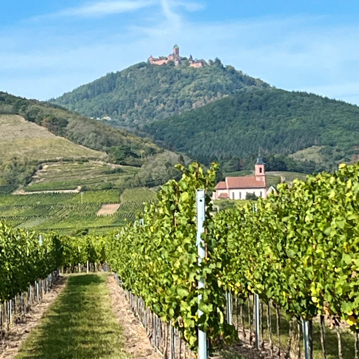 The Rhine, Rome and Sicily