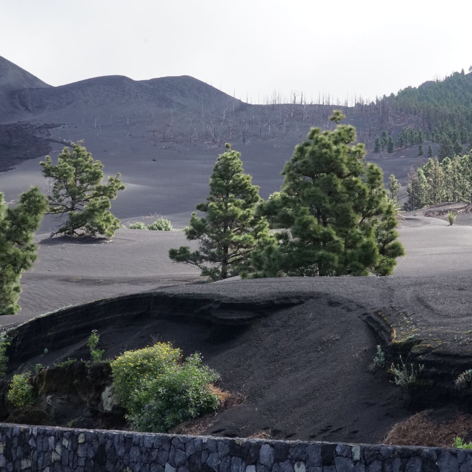 La Palma - Kanarische Inseln