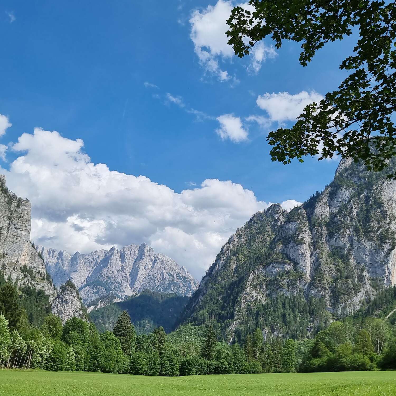 Reisegruppe Stützrad , Julische u.Ötztaler Alpen