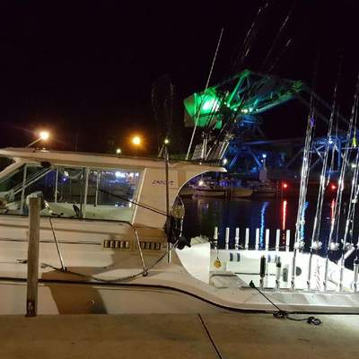 Fishing trip