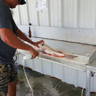 NO Fishing trip