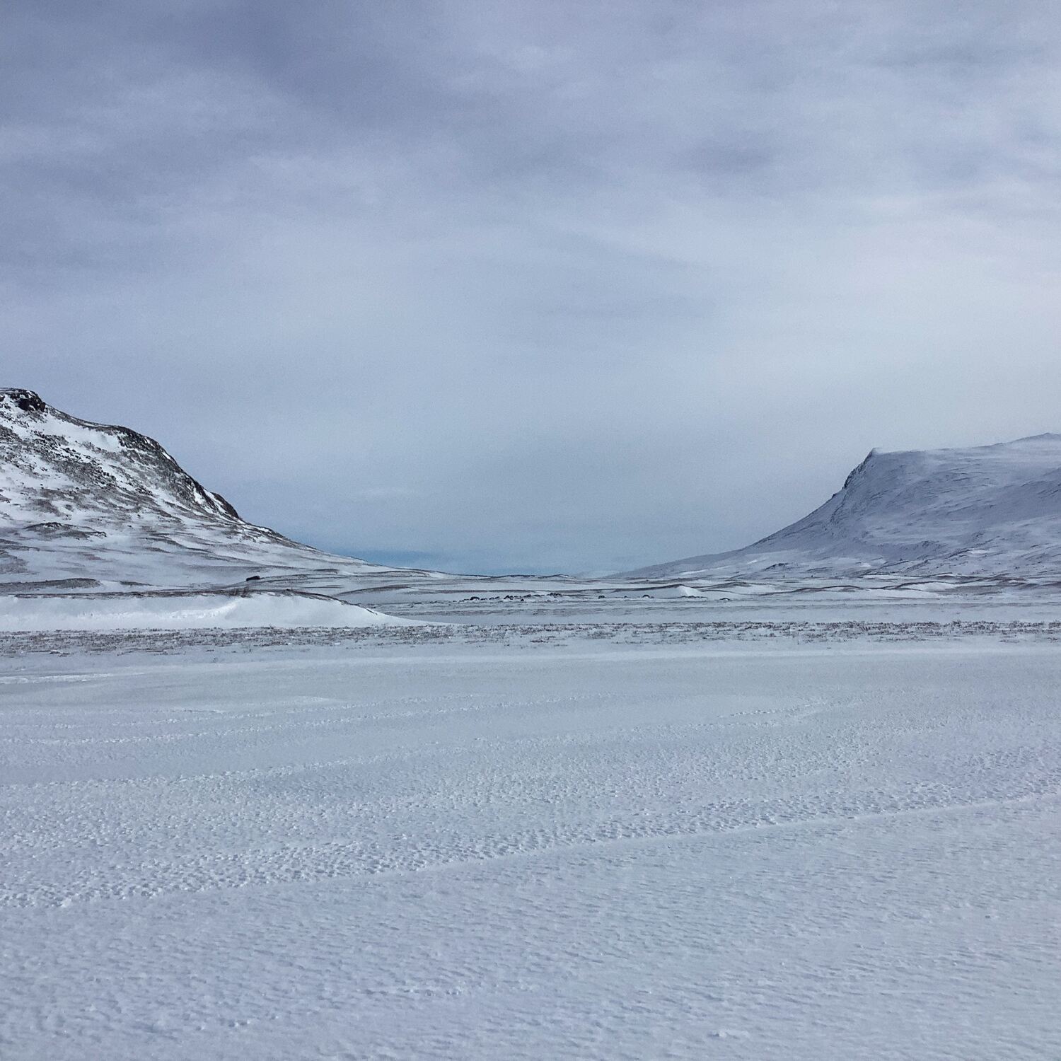 Back to the polar circle