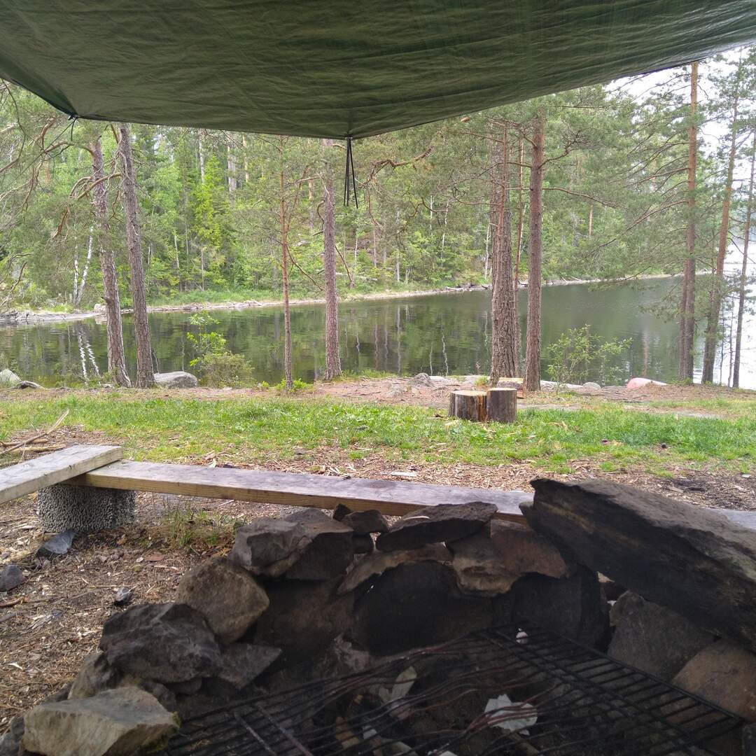 Be back to Neandertalism