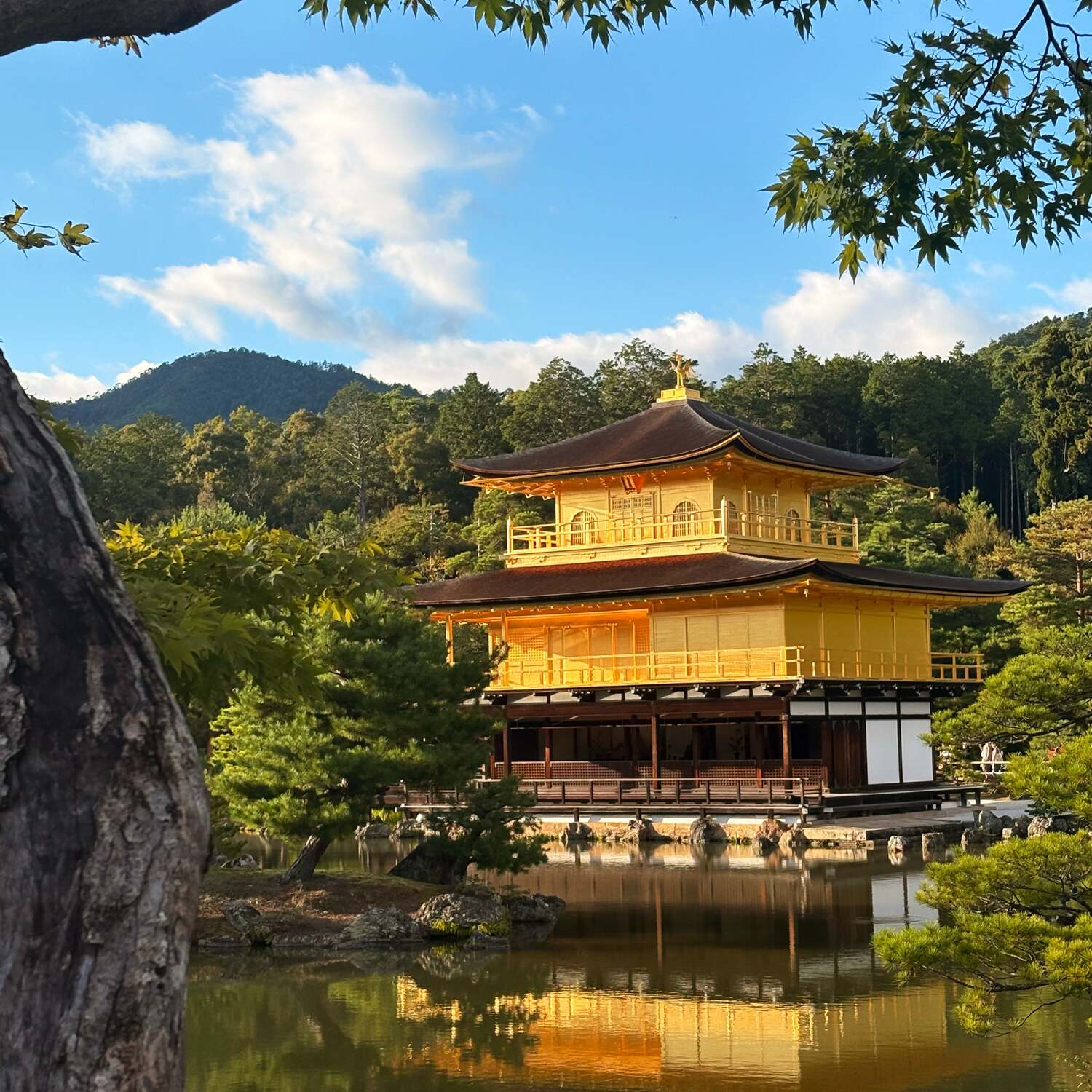 Japan Trip 2024