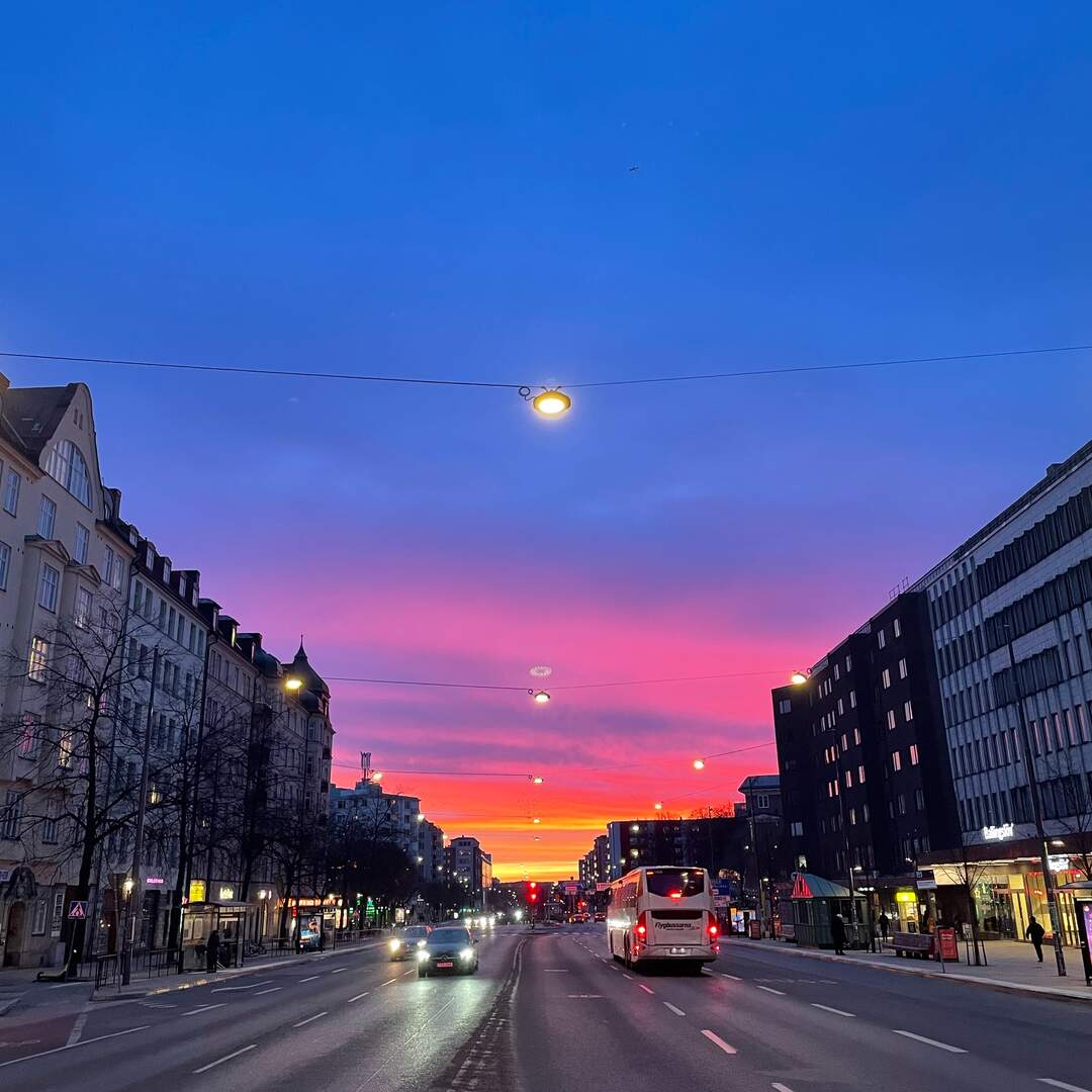 Stockholm mit dem Muttertier