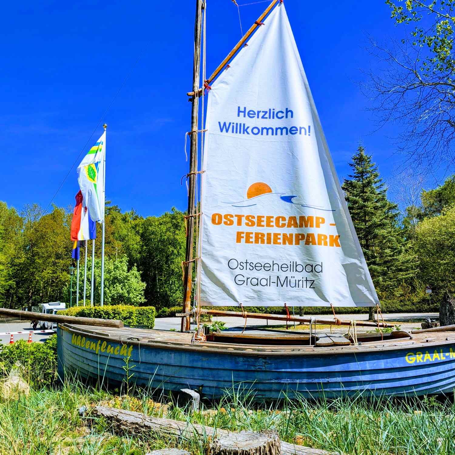 Fortführung der Regeneration