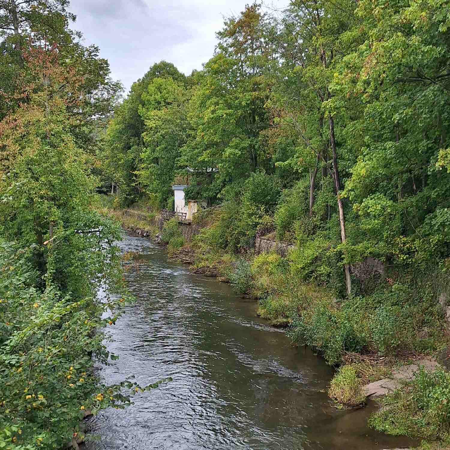 Gemünd / Nationalpark Eifel