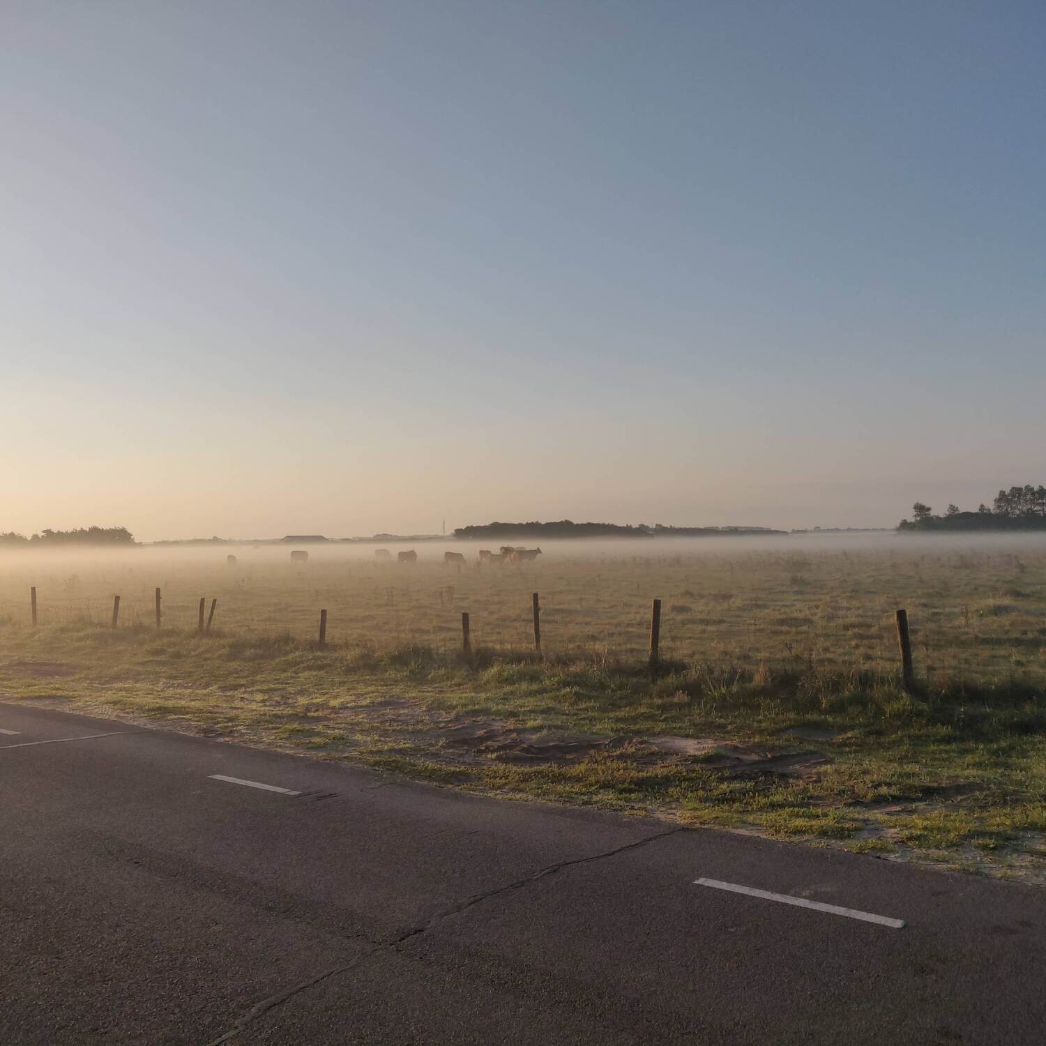 333Travel op Texel