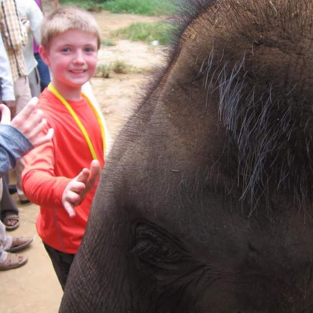 2012 India
