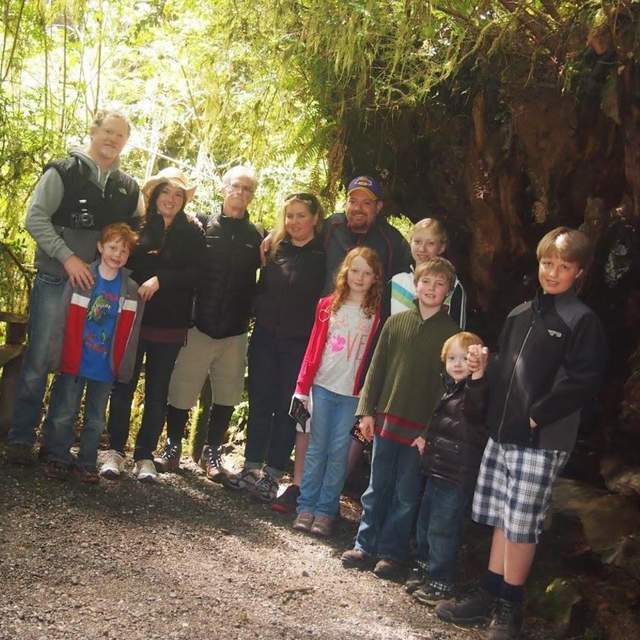 2013 Redwoods