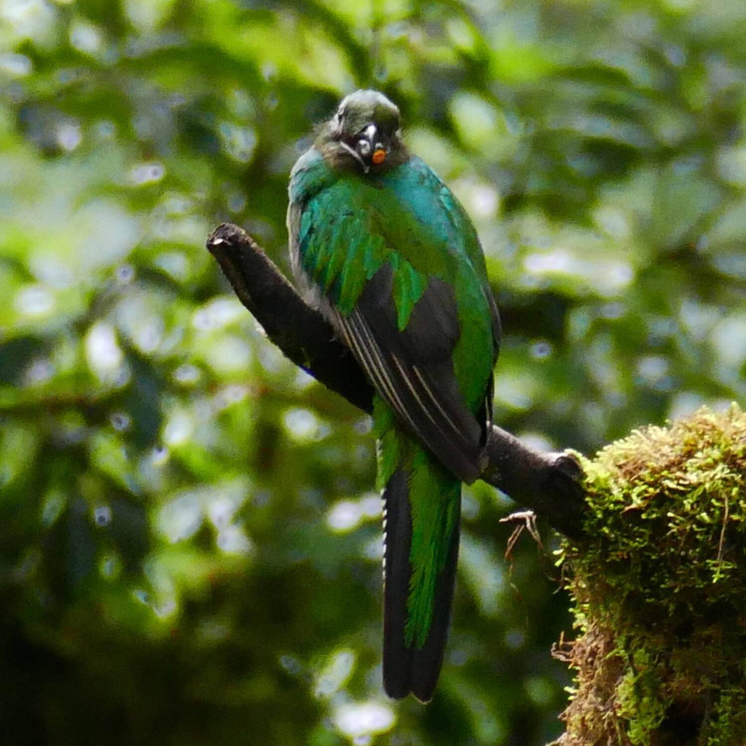Costa Rica Rundreise