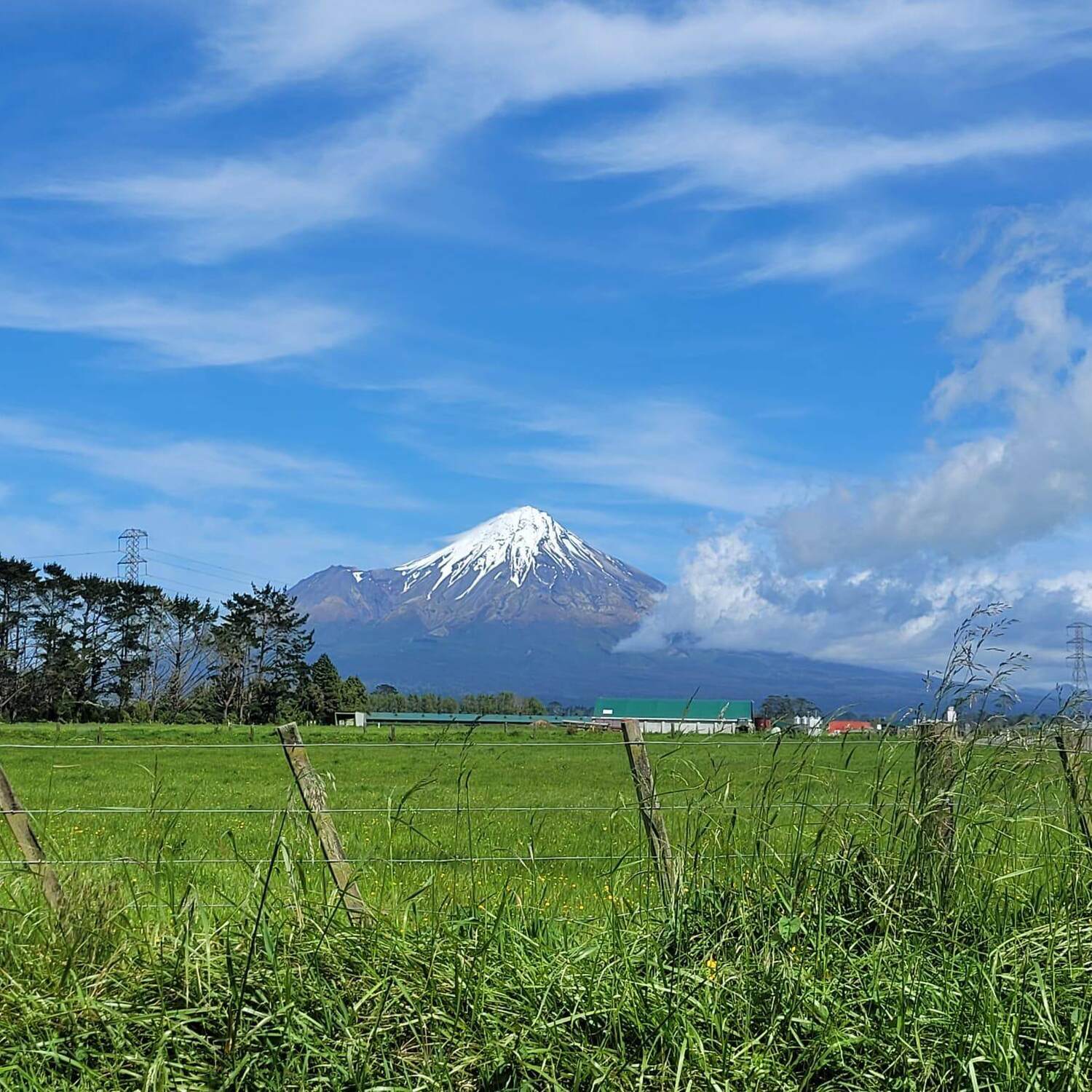 New zealand 🇳🇿