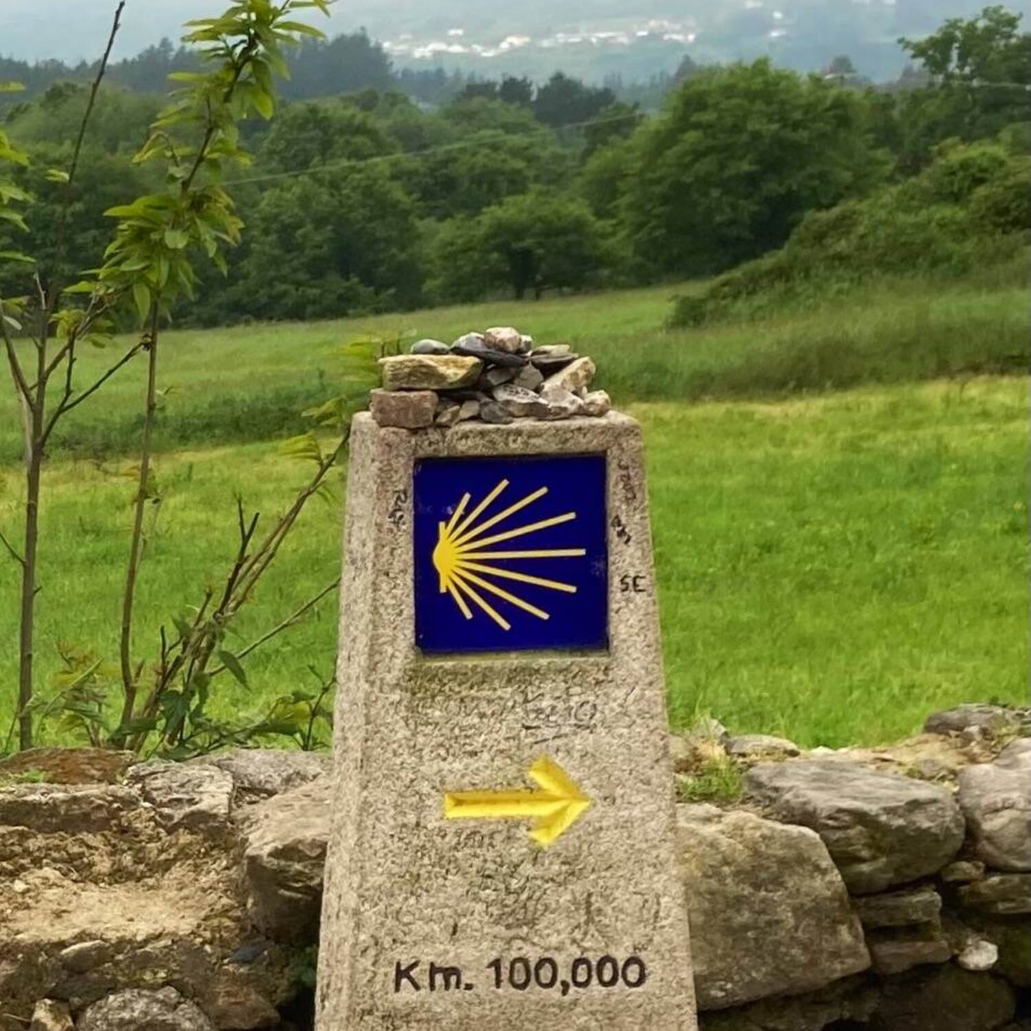 Camino Frances ab Sarria 2025