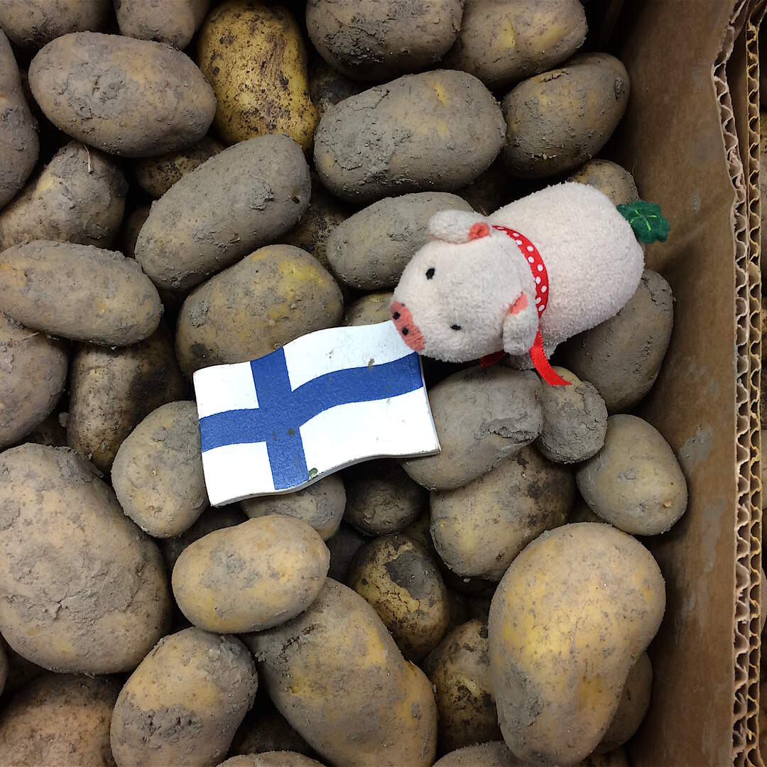 Weltreisebesuch I in Finnland