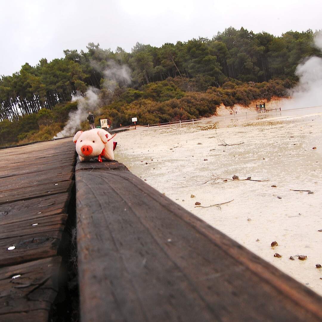 Neuseeland I