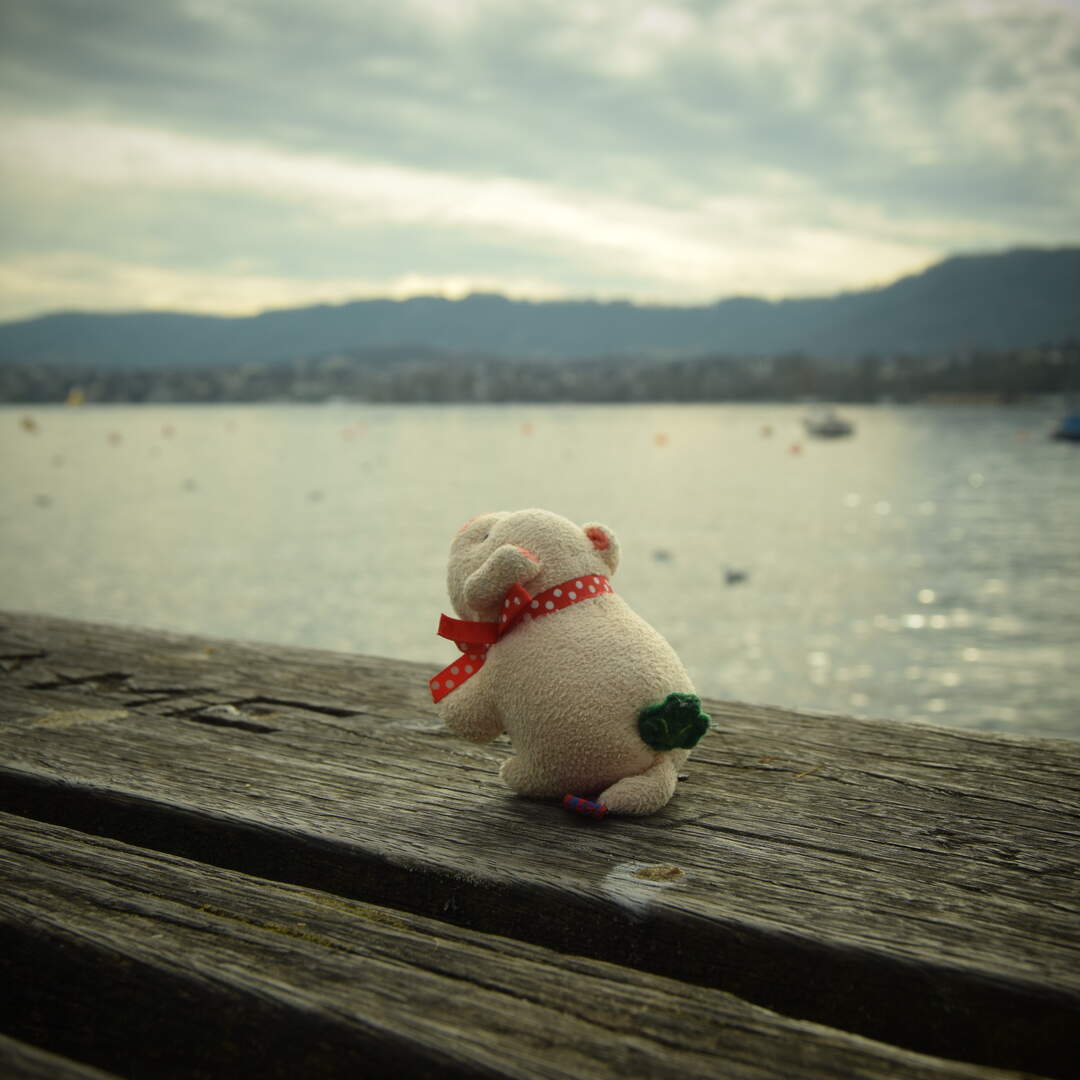 Karnevalsflucht nach Zürich