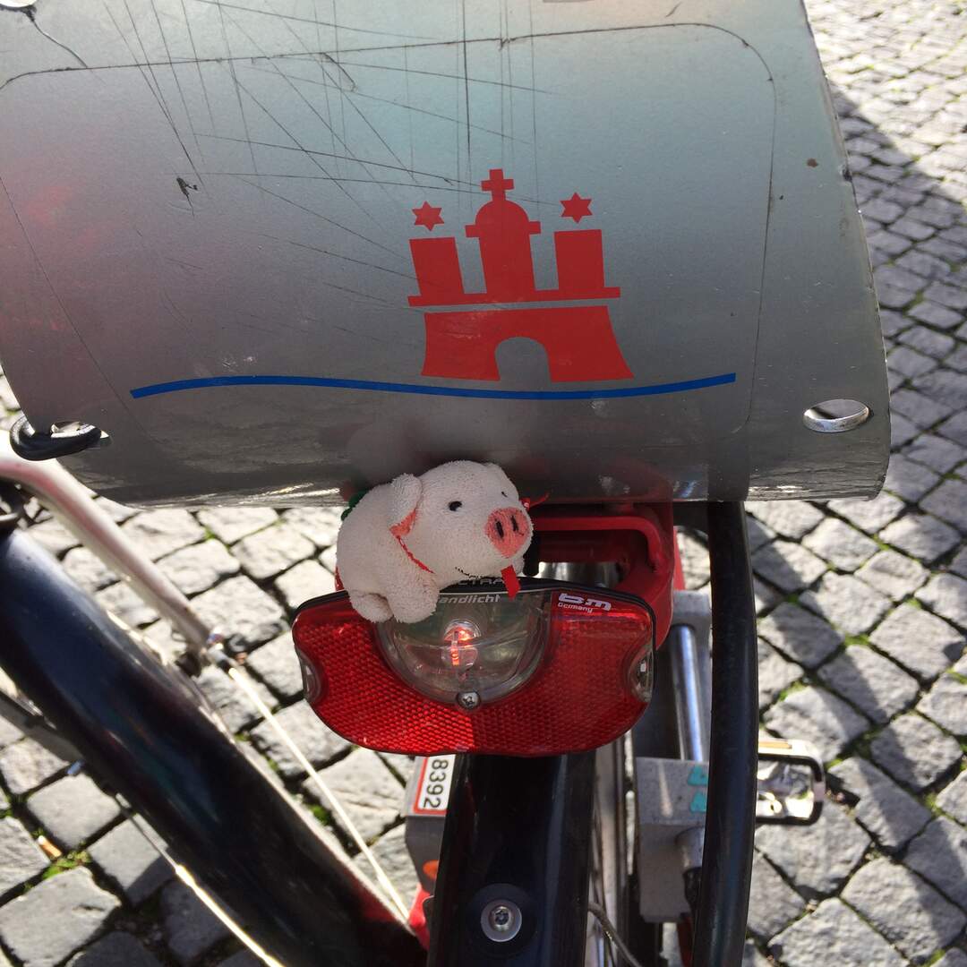Hamburg & Lion King