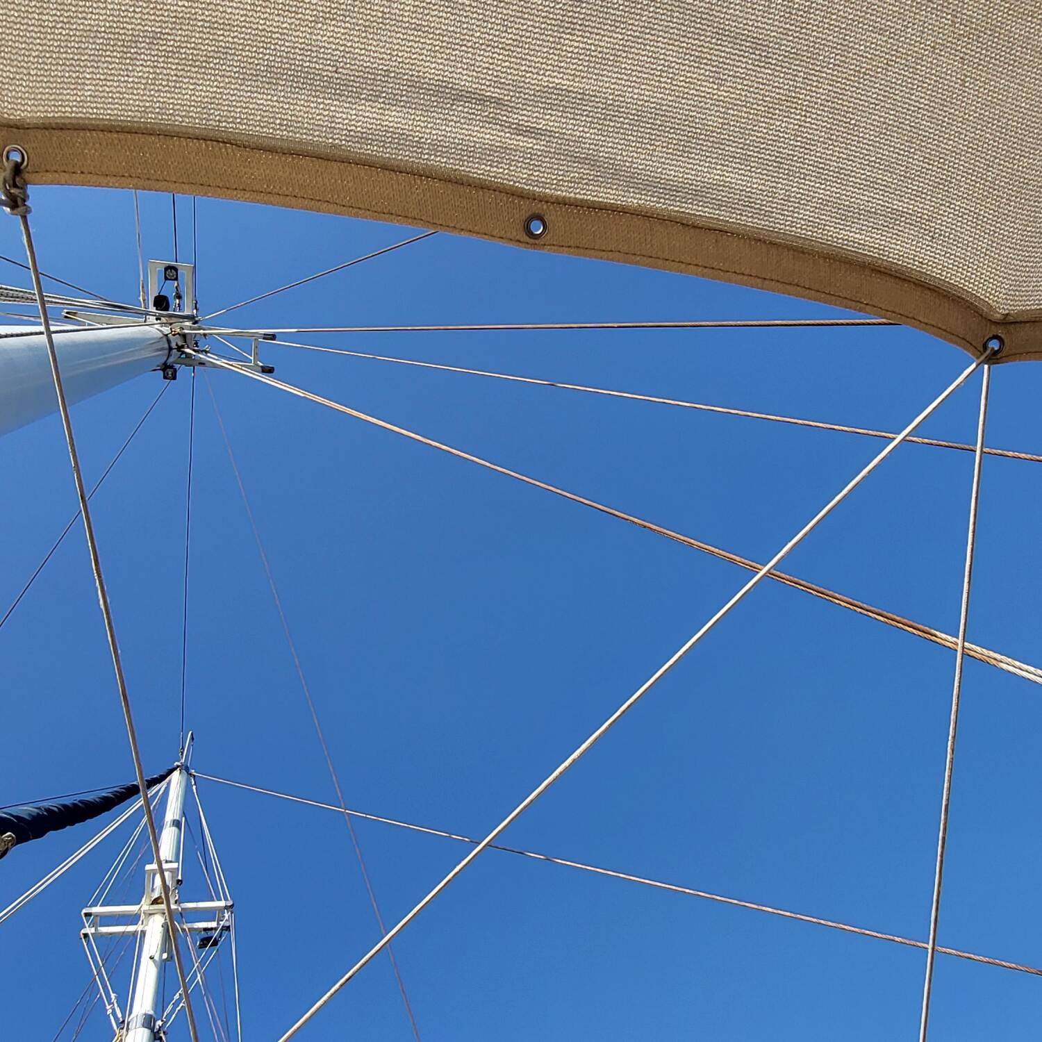 Blaue Reise