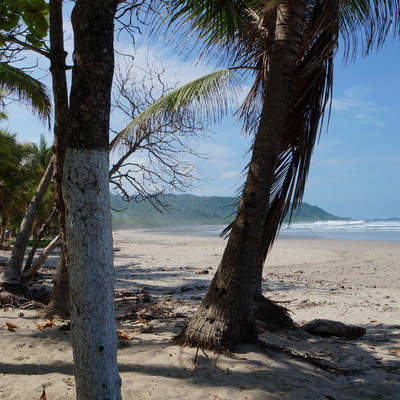 Central & South America