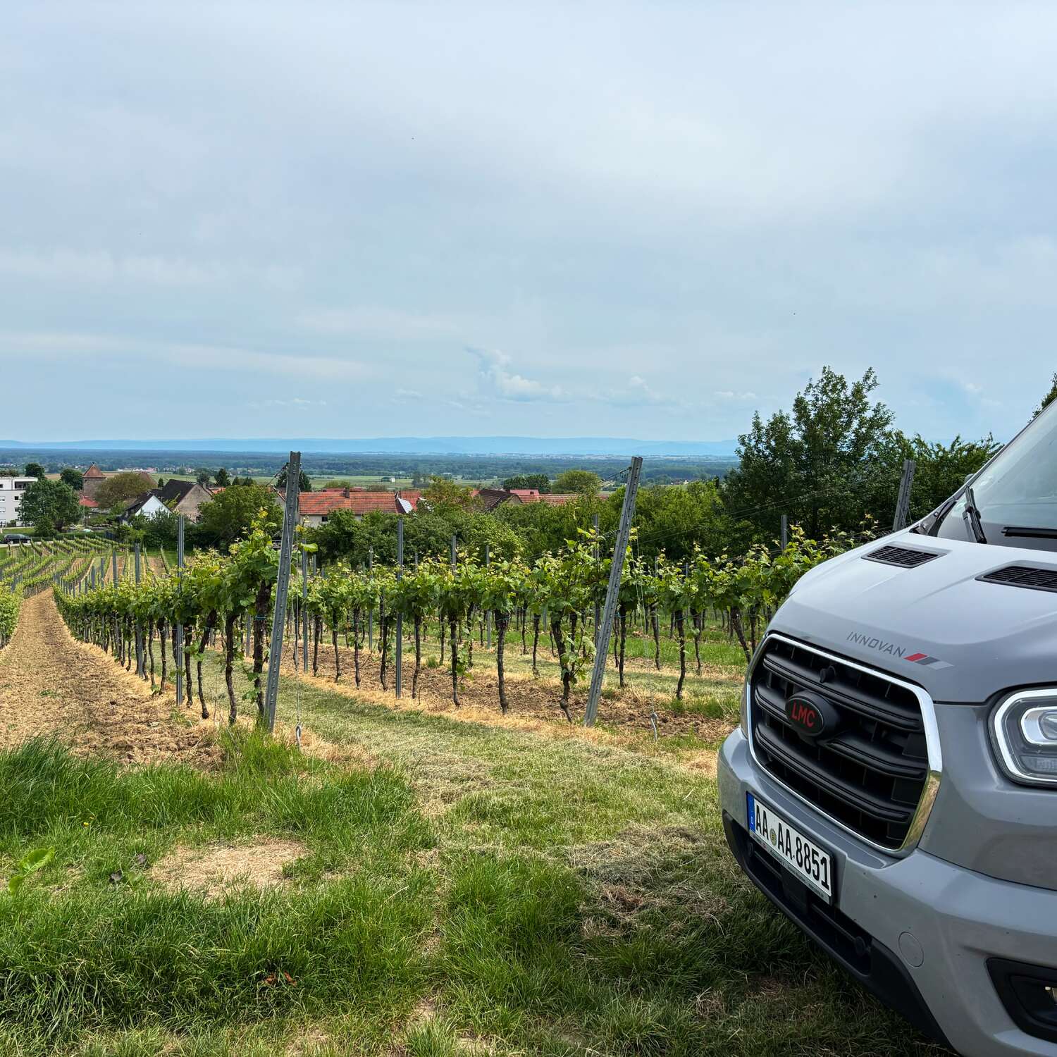Durch die Weinberge