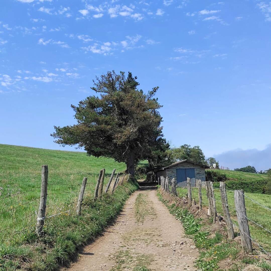 El Camino Primitivo