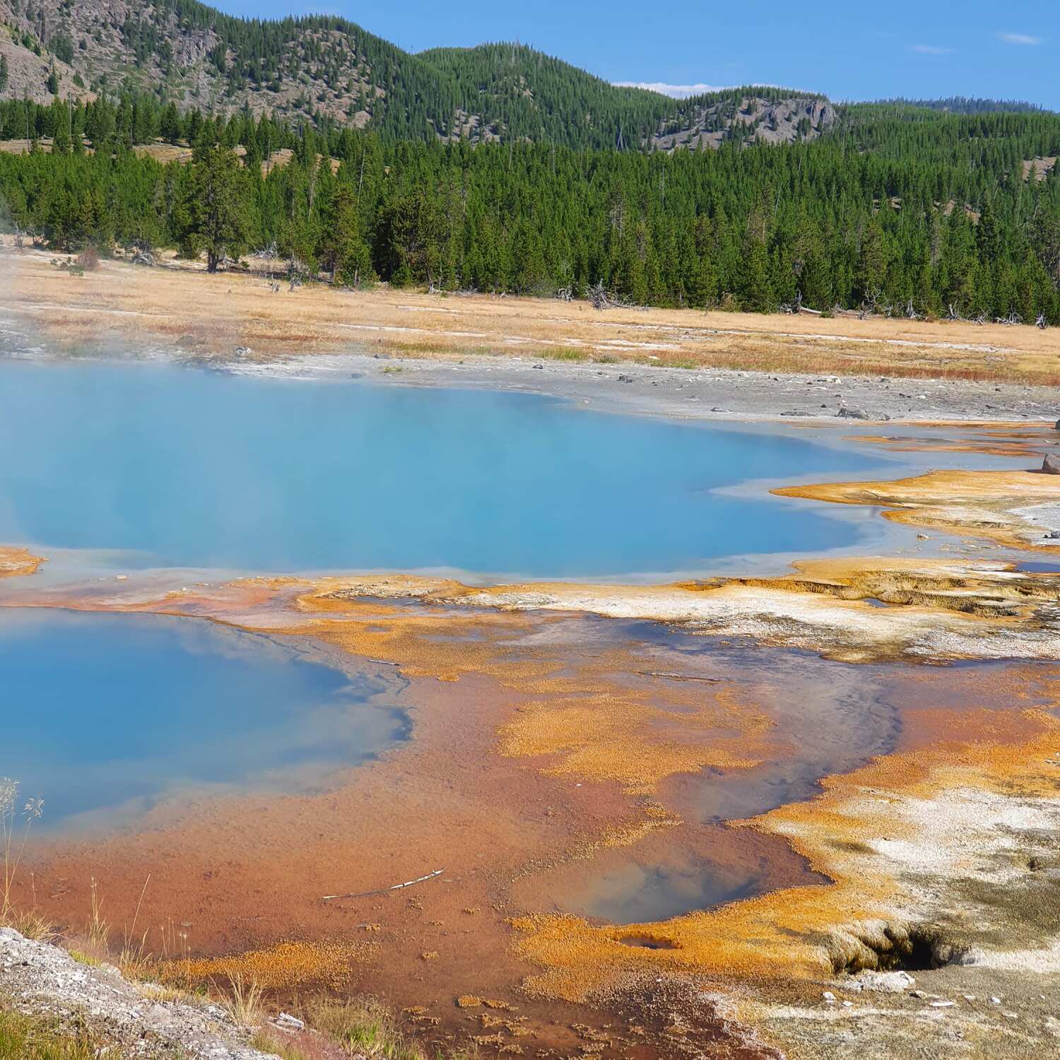 Nationalparks Nordamerika