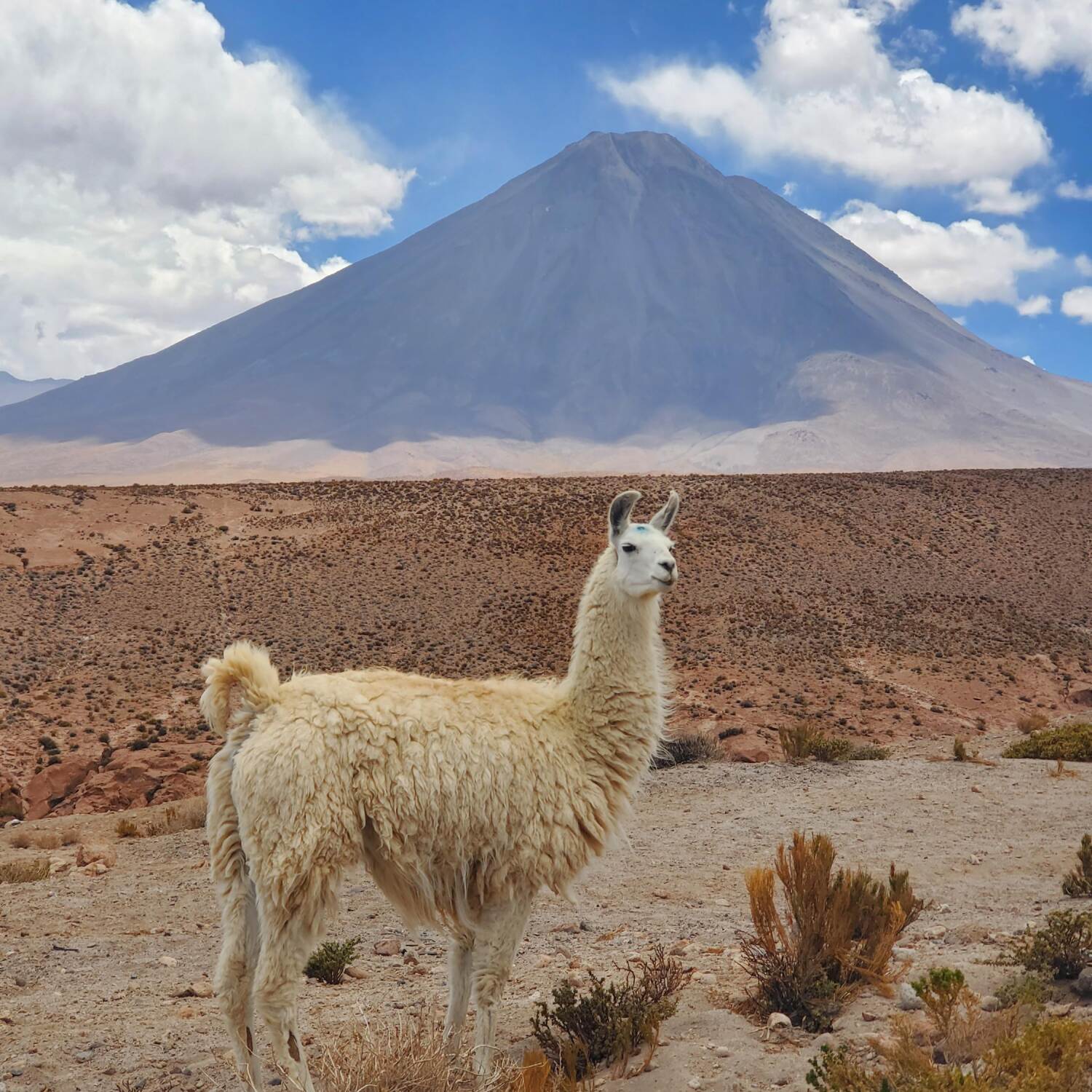 Der Norden von Chile