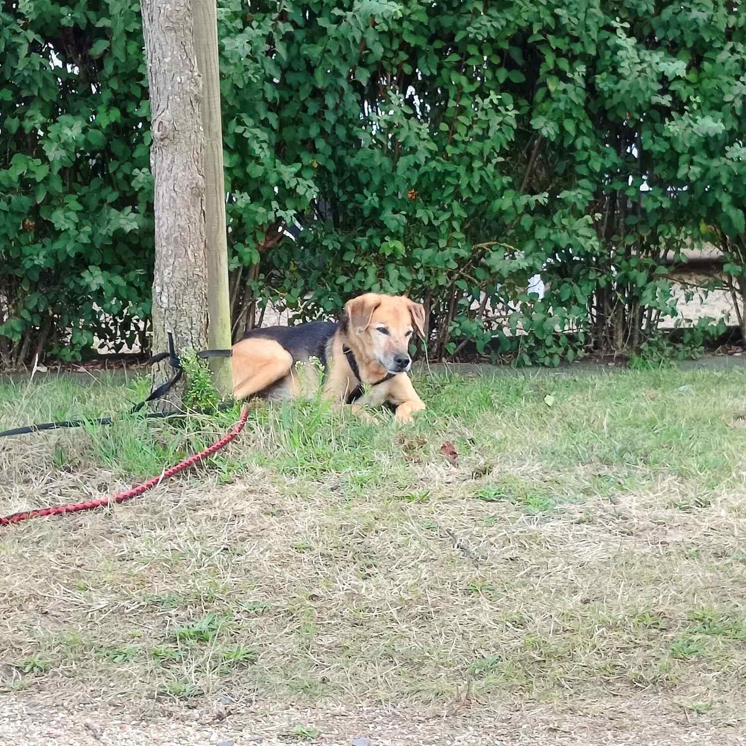 Fr/ Bretangne/ Nord Spain/ Por